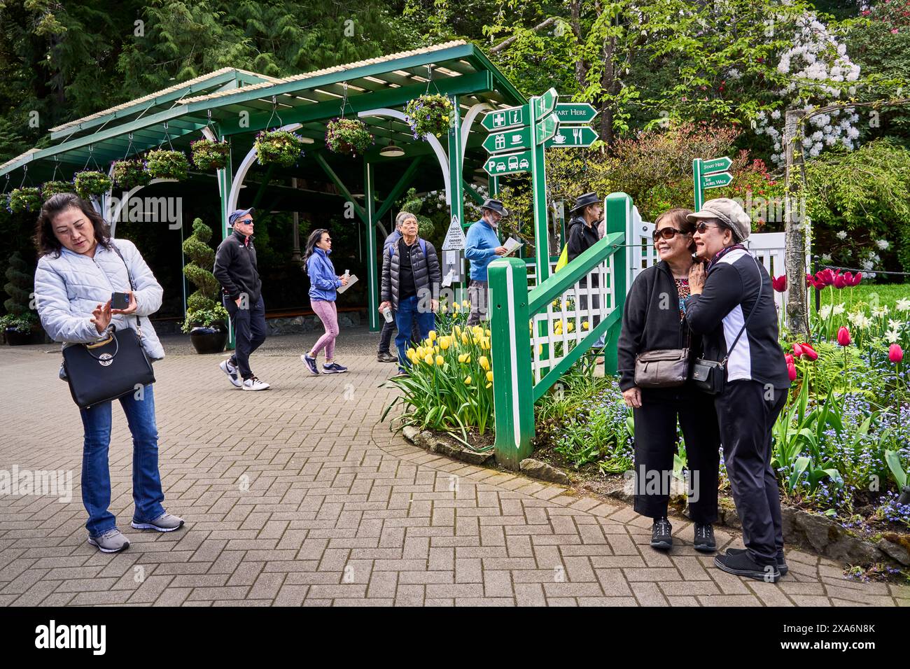 Une dame vérifiant la photo qu'elle a prise sur son téléphone cellulaire de deux autres dames à Butchart Gardens, Victoria, C.-B. Banque D'Images