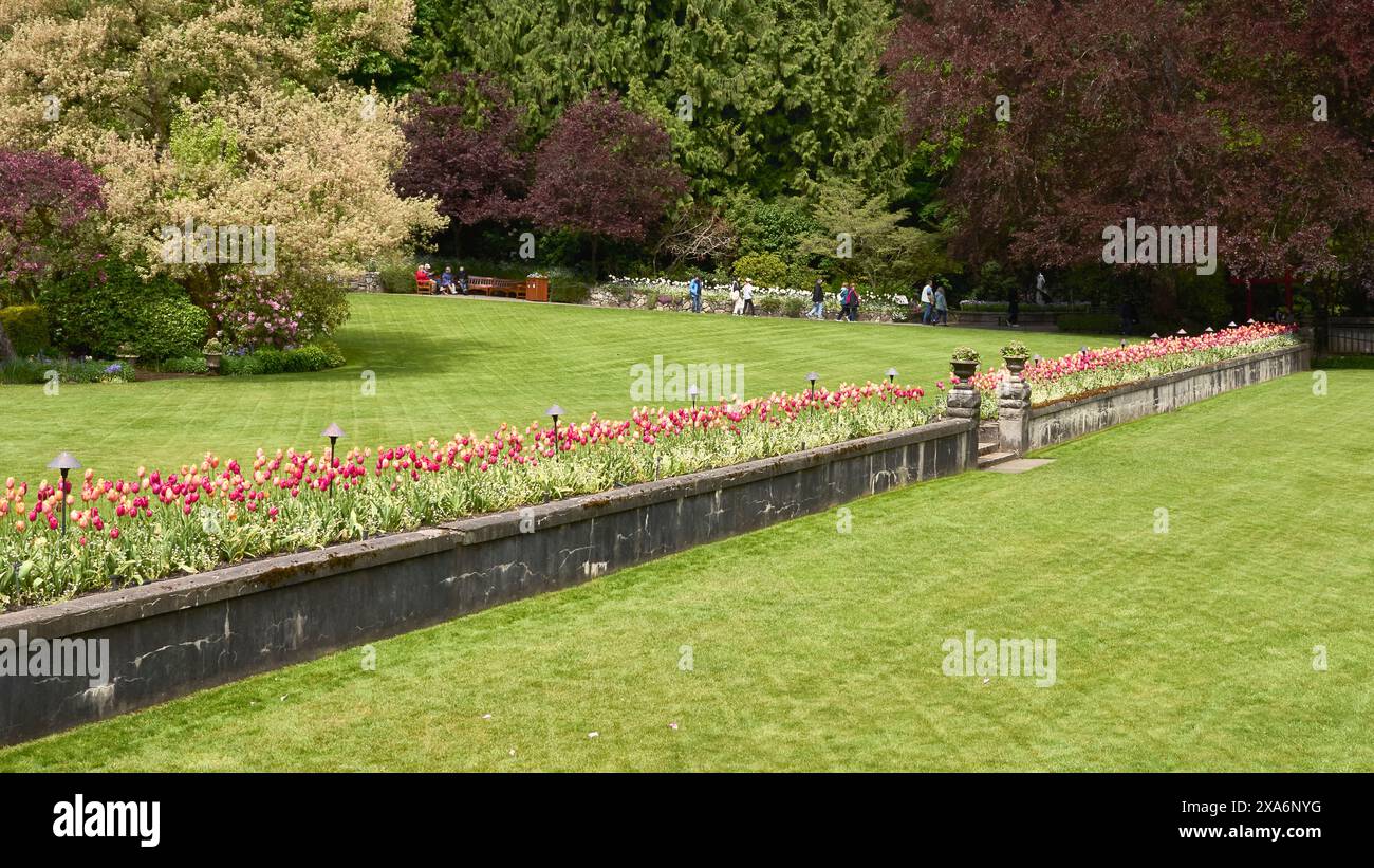 Les terrains de Butchart Gardens, Victoria, C.-B. avec un mur de ciment bas, un lit de tulipes et des gens au loin. Banque D'Images