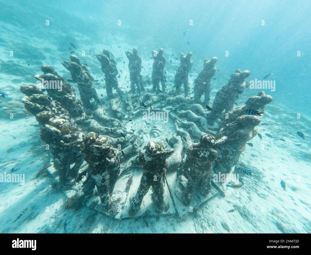 Une vue panoramique des sculptures sous-marines de Bask Nest Gilli Mino Banque D'Images