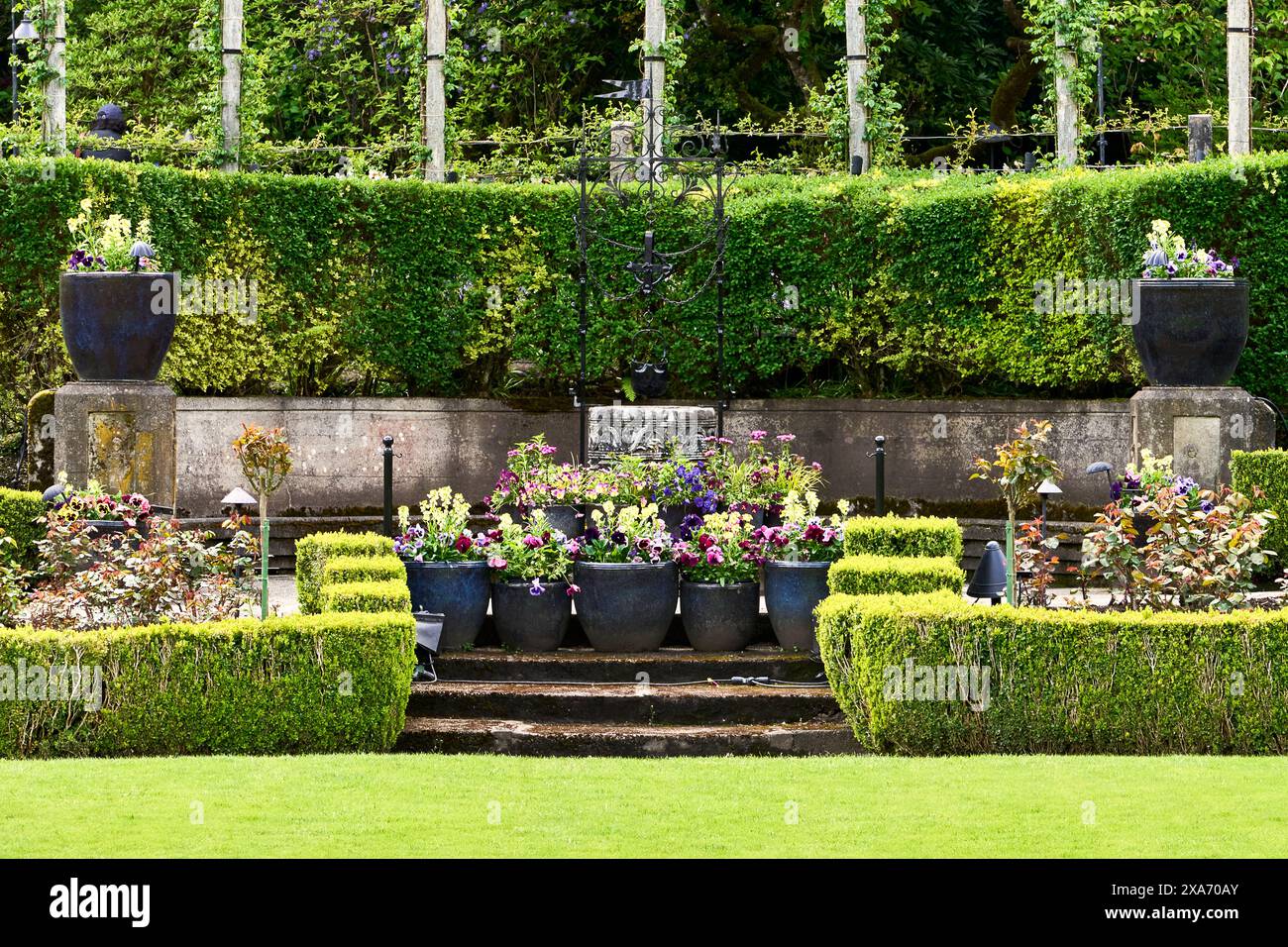 Pelouse verte menant à des marches en ciment et des tulipes printanières colorées dans de grands pots à Butchart Gardens. Victoria, C.-B. Banque D'Images