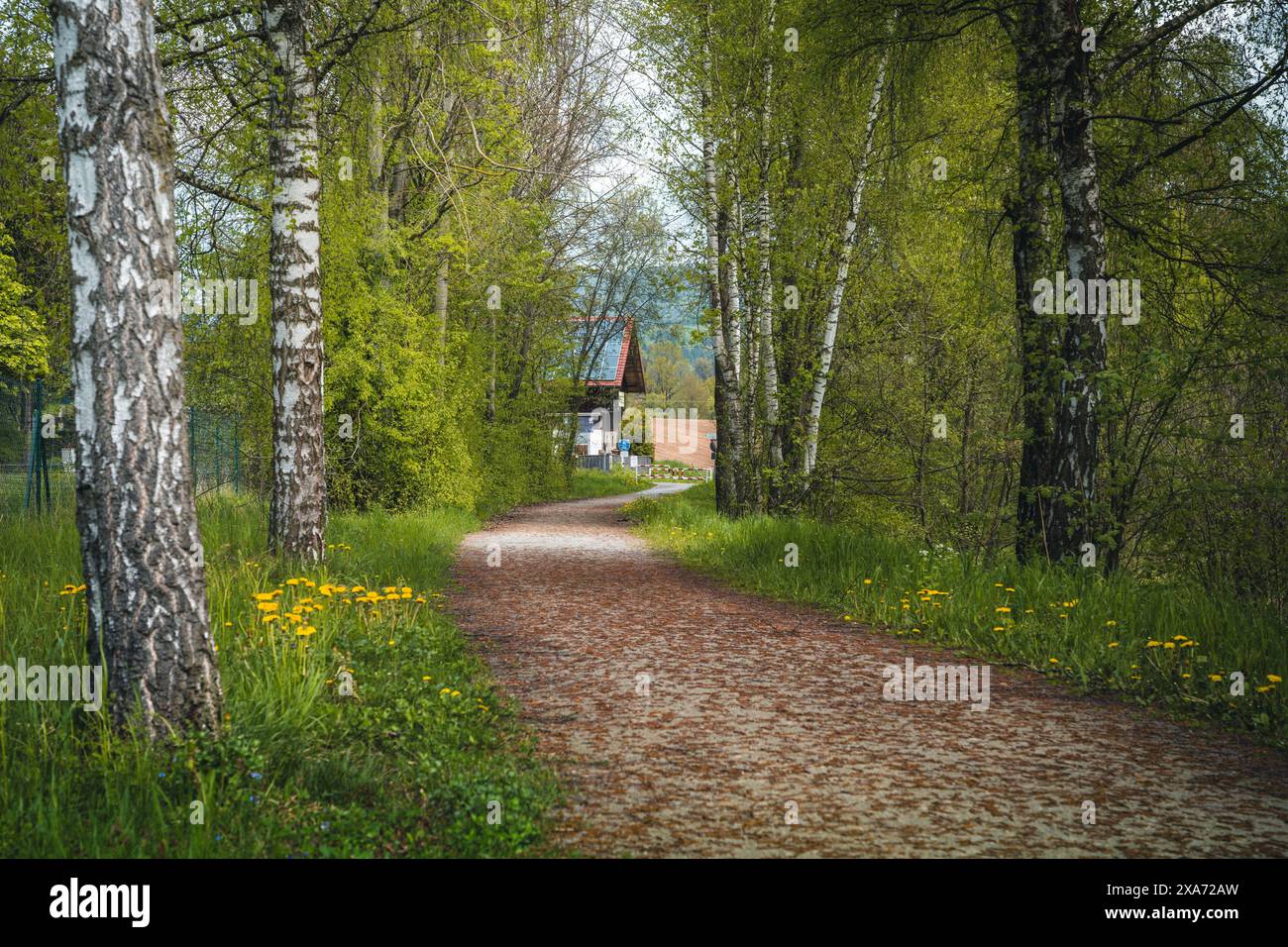 Une vue panoramique sur une route de campagne rurale par une journée ensoleillée Banque D'Images