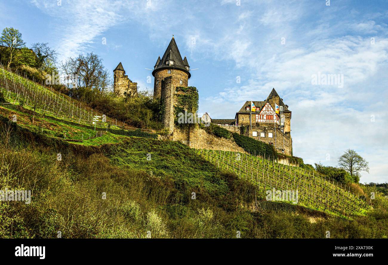 Vignobles à Bacharach, château de Stahleck en arrière-plan, vallée du Haut-Rhin moyen, Rhénanie-Palatinat, Allemagne Banque D'Images