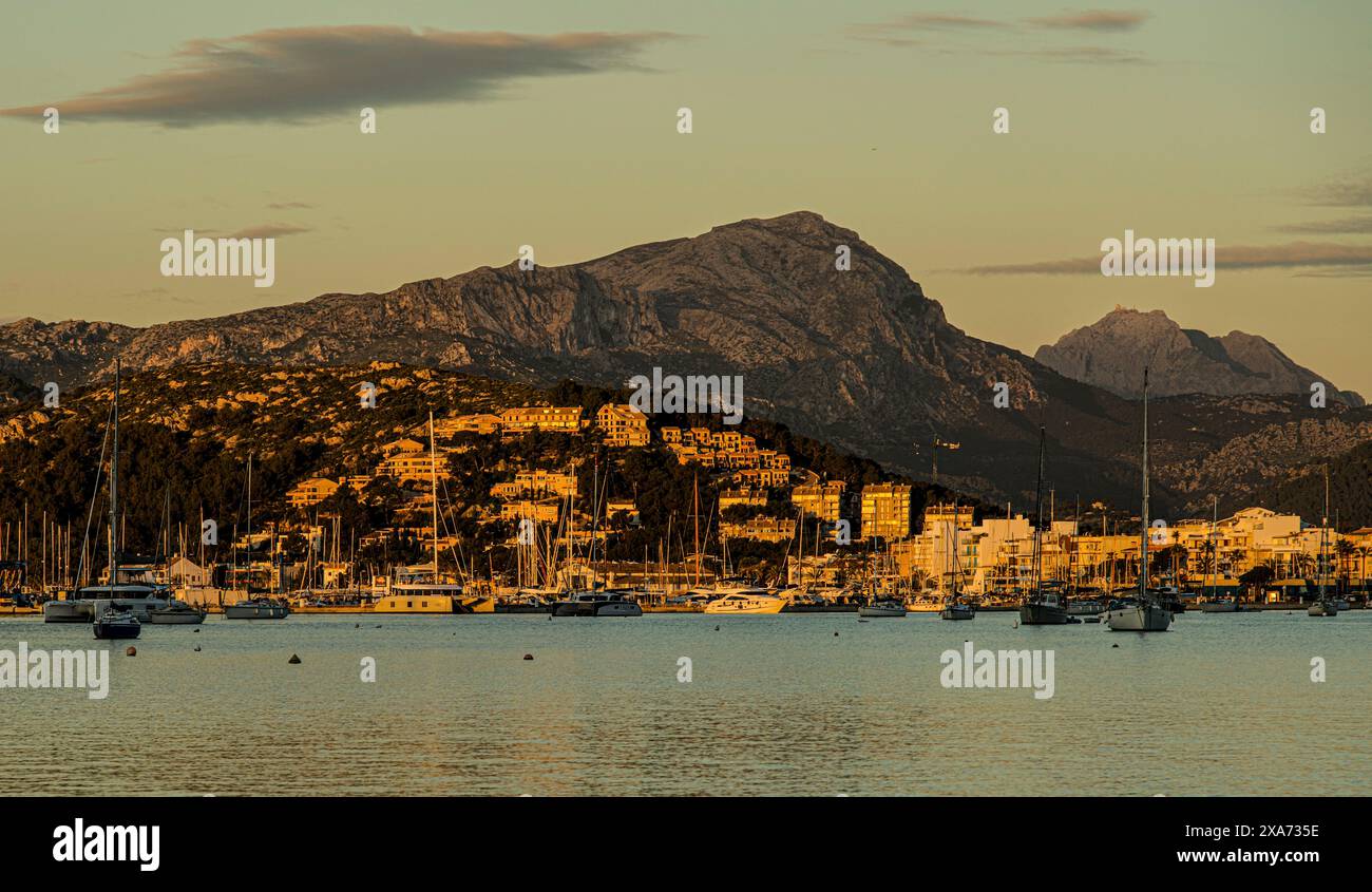 Port de Pollença et les montagnes de Tramuntana à la lumière du matin, Port de Pollença, Majorque, Espagne Banque D'Images
