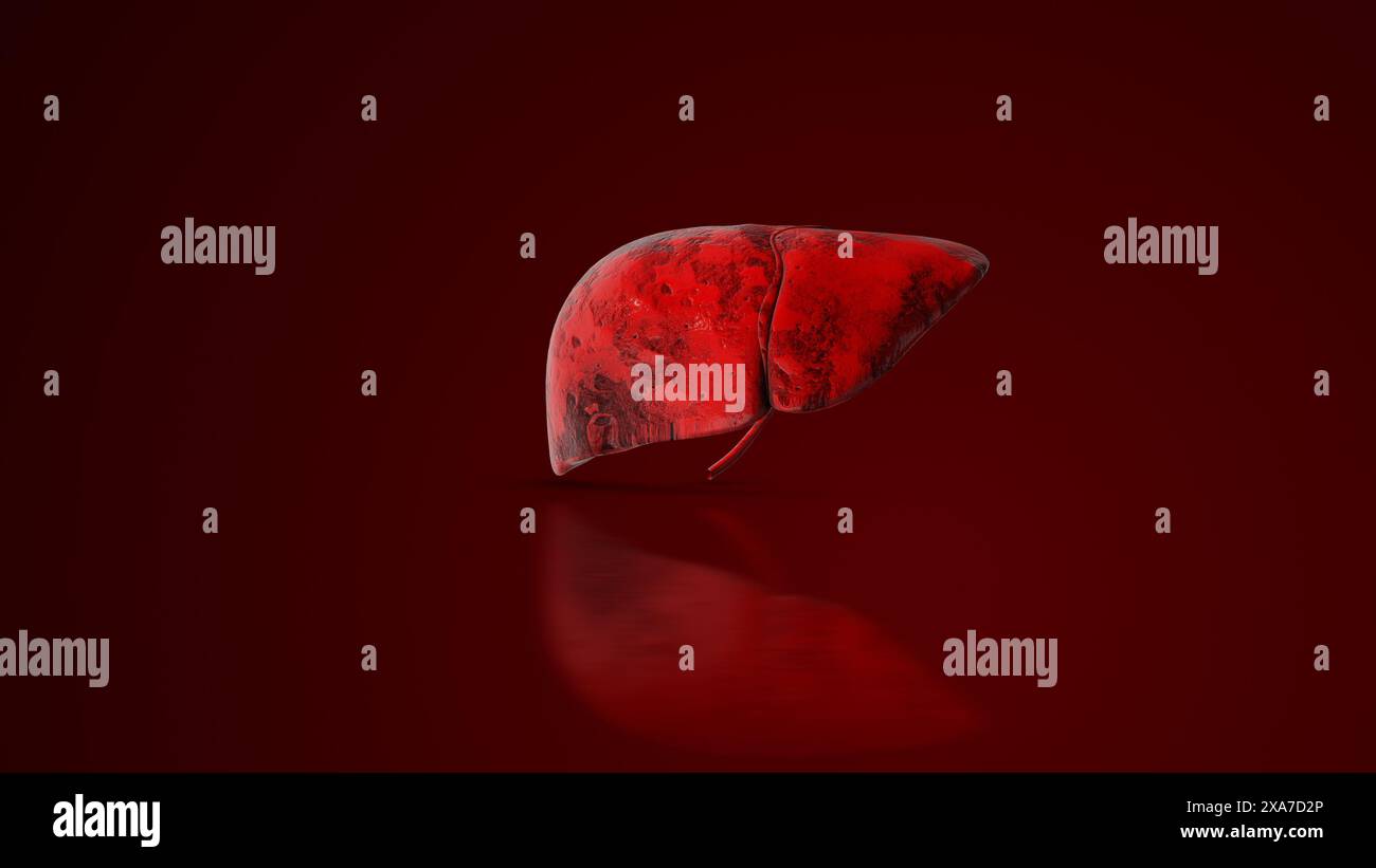 Animation médicale de l'anatomie hépatique humaine Banque D'Images
