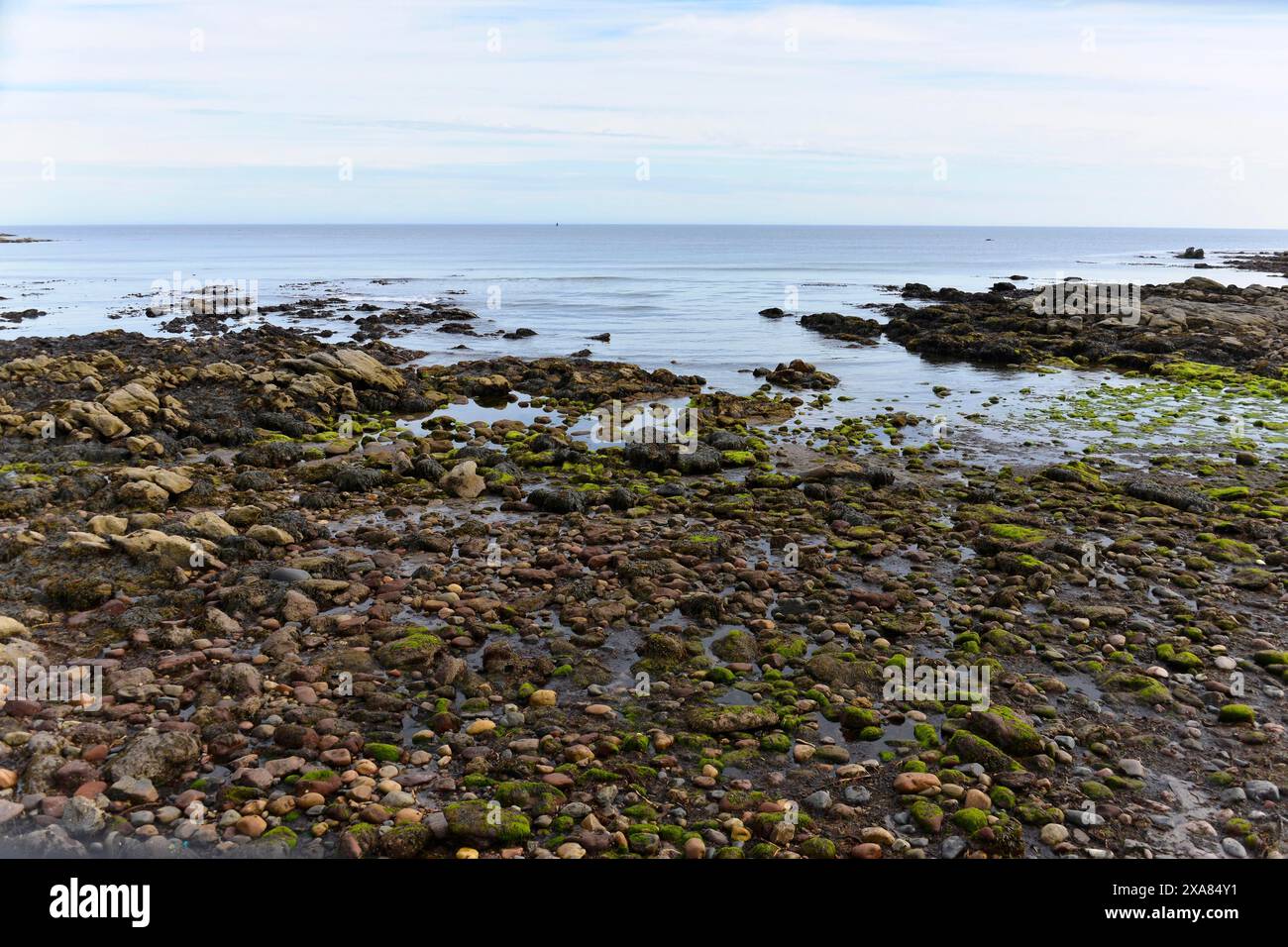 Plage, côte rocheuse avec des vagues s'écrasant sur le rivage, tons bleus de la mer et tons verts des rochers, Écosse, Royaume-Uni, Grande-Bretagne Banque D'Images