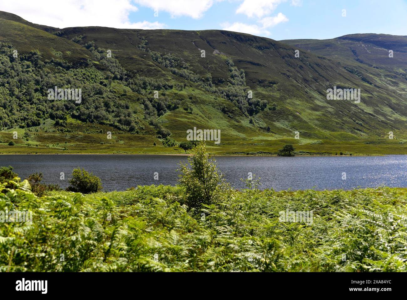 Île de Skye, Hébrides intérieures, Highlands et îles, Écosse, Royaume-Uni, Europe, vue d'un loch entouré de collines verdoyantes et d'une végétation dense Banque D'Images