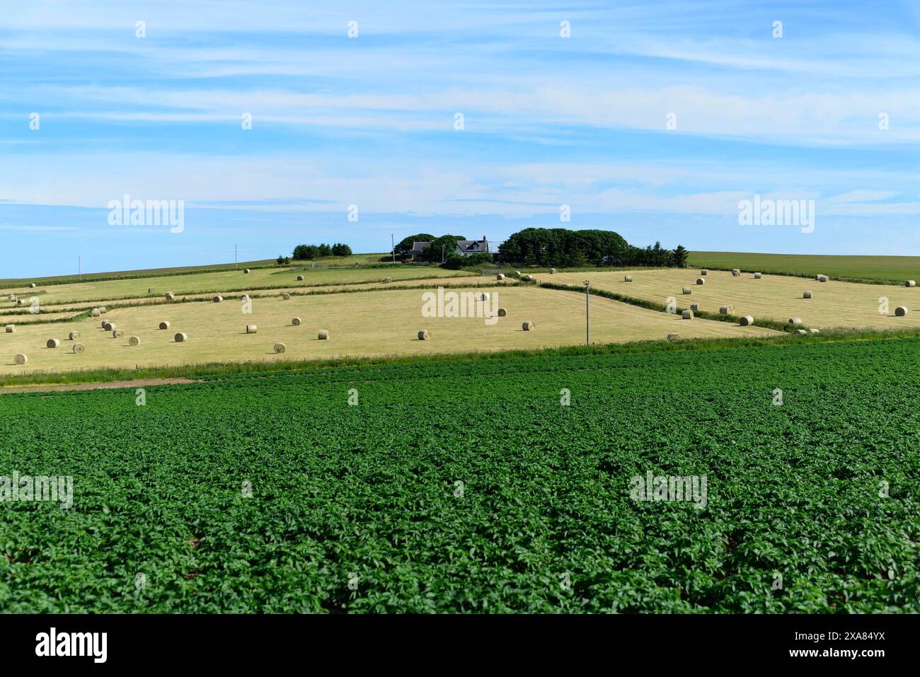 A Pennan dans la lumière du soir, Aberdeenshire, Écosse, Grande-Bretagne, Europe, paysage large avec des champs verts et ciel bleu en arrière-plan Banque D'Images