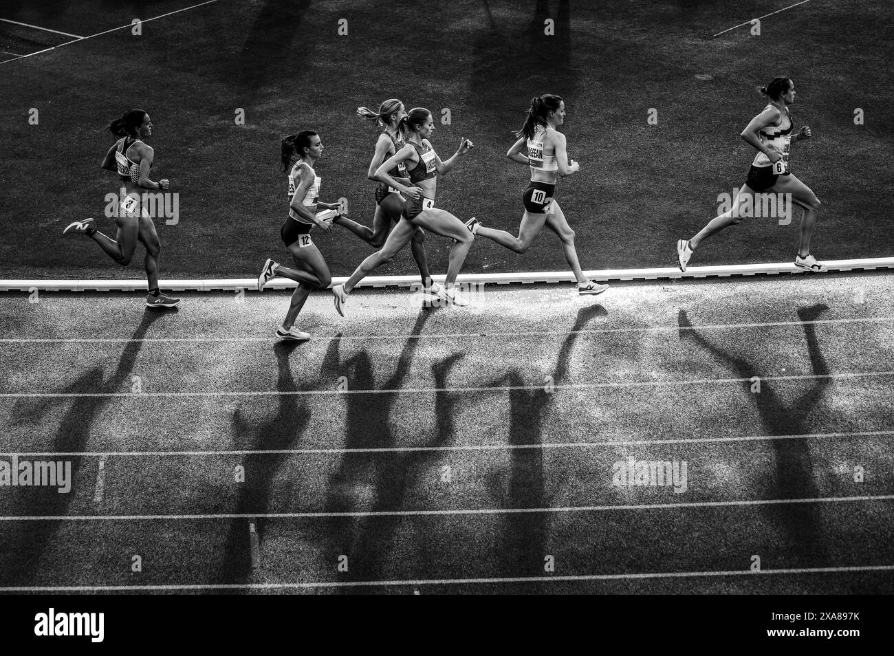 OSTRAVA, TCHÉQUIE, 28 MAI 2024 : Noir et Blanc Track and Field photo. Finale féminine de 800 mètres. Pré-course avant les jeux olympiques d'été Paris 2024 et Europea Banque D'Images