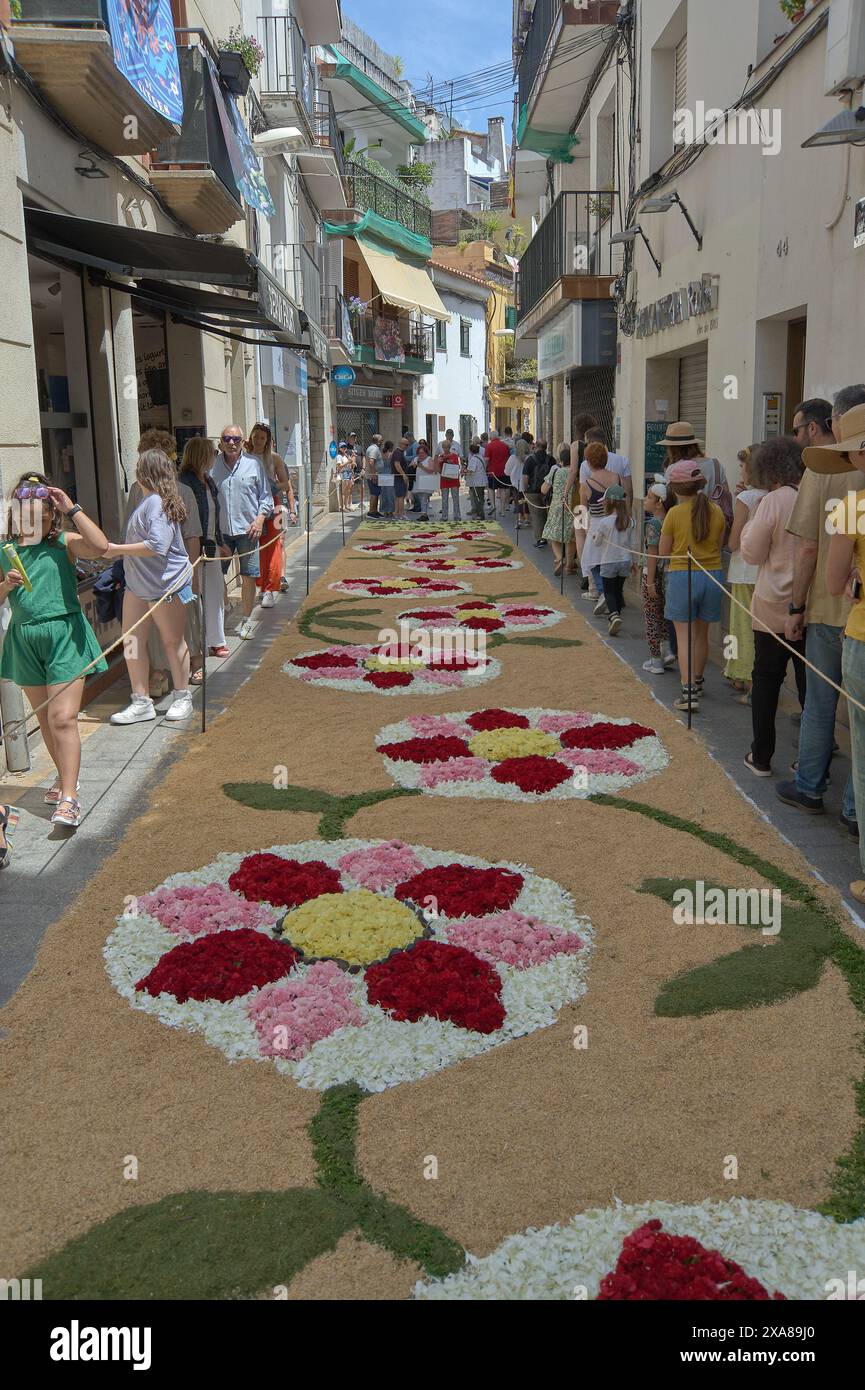 Sitges, Barcelone, Espagne-03 juin 2024 : un moment festif est immortalisé où les participants créent des motifs artistiques en utilisant uniquement des fleurs sous le regard Banque D'Images