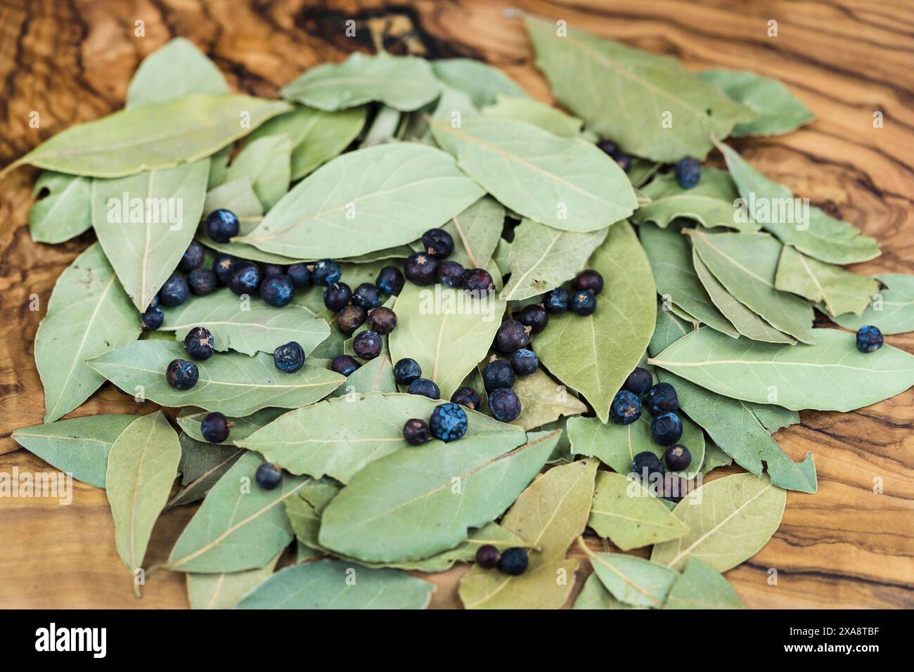 Laurier doux, laurier doux (Laurus nobilis), feuilles de laurier séchées et fruits Banque D'Images