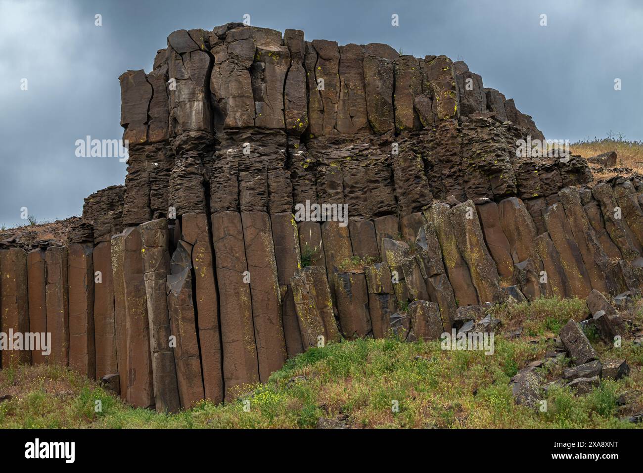 Formation rocheuse de basalte dans le Columbia National Wildlife refuge, WA Banque D'Images