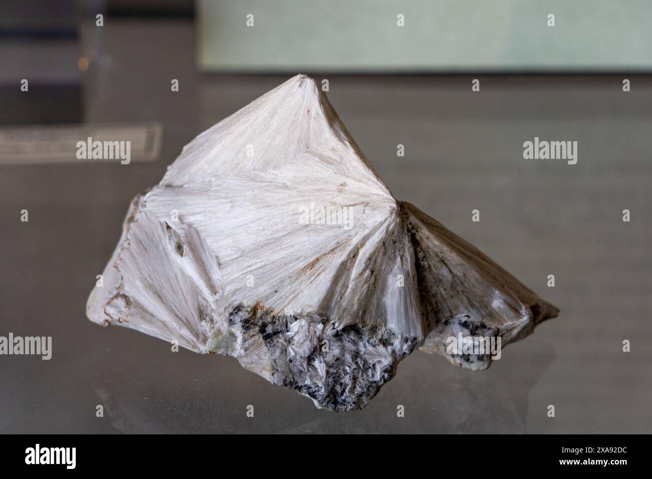 Spécimen de pectolite au Musée de paléolontolgie de l'Université Brigham Young, Provo, Utah. Banque D'Images
