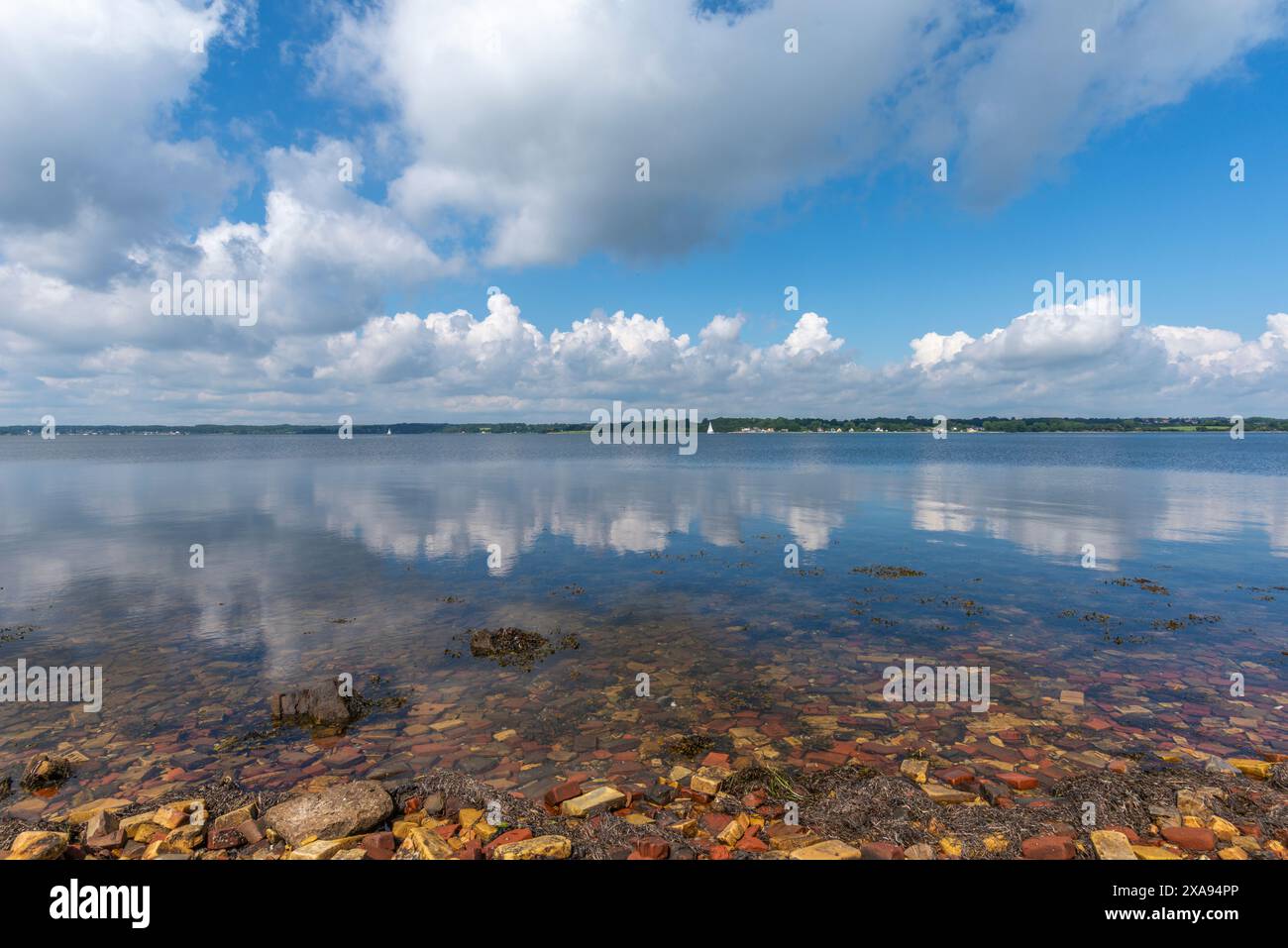 Rivage avec briques de l'ancienne brique, péninsule Holnis sur le fjord de Flensburg, Glücksburg, Schleswig-Holstein, Allemagne du Nord Banque D'Images