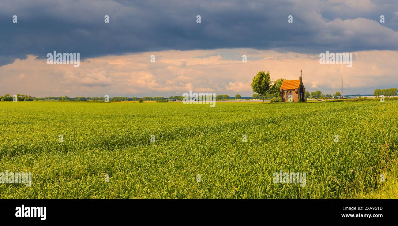 Une large image panoramique 2:1 du monument de la seconde guerre mondiale 'notre Dame de la floraison Betuwe' à Bemmel (municipalité de Lingewaard), aux pays-Bas, Banque D'Images