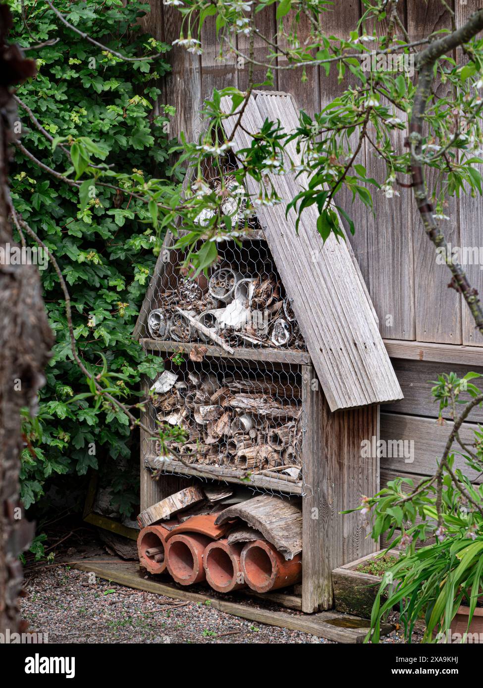 Les hôtels à insectes sont des nichoirs pour abeilles et autres insectes, généralement faits avec des trous ou des tubes soigneusement formés. Ils peuvent encourager une variété d'insectes. Banque D'Images