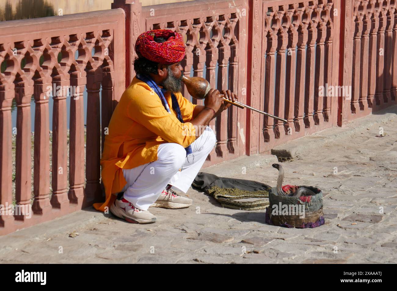 Un charmeur de serpent indien captivant un cobra Banque D'Images