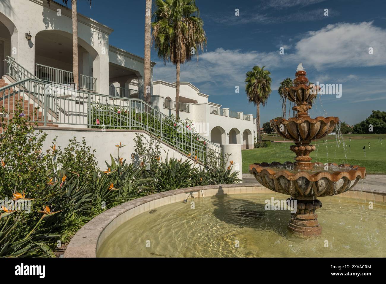 Une fontaine devant un bâtiment orné, avec des plantes vertes luxuriantes Banque D'Images