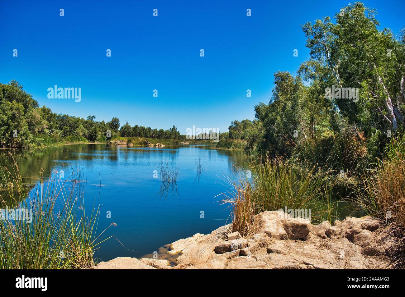 La rivière Maitland près de Karratha, l'une des rares rivières permanentes de la région sèche de Pilbara, en Australie occidentale Banque D'Images