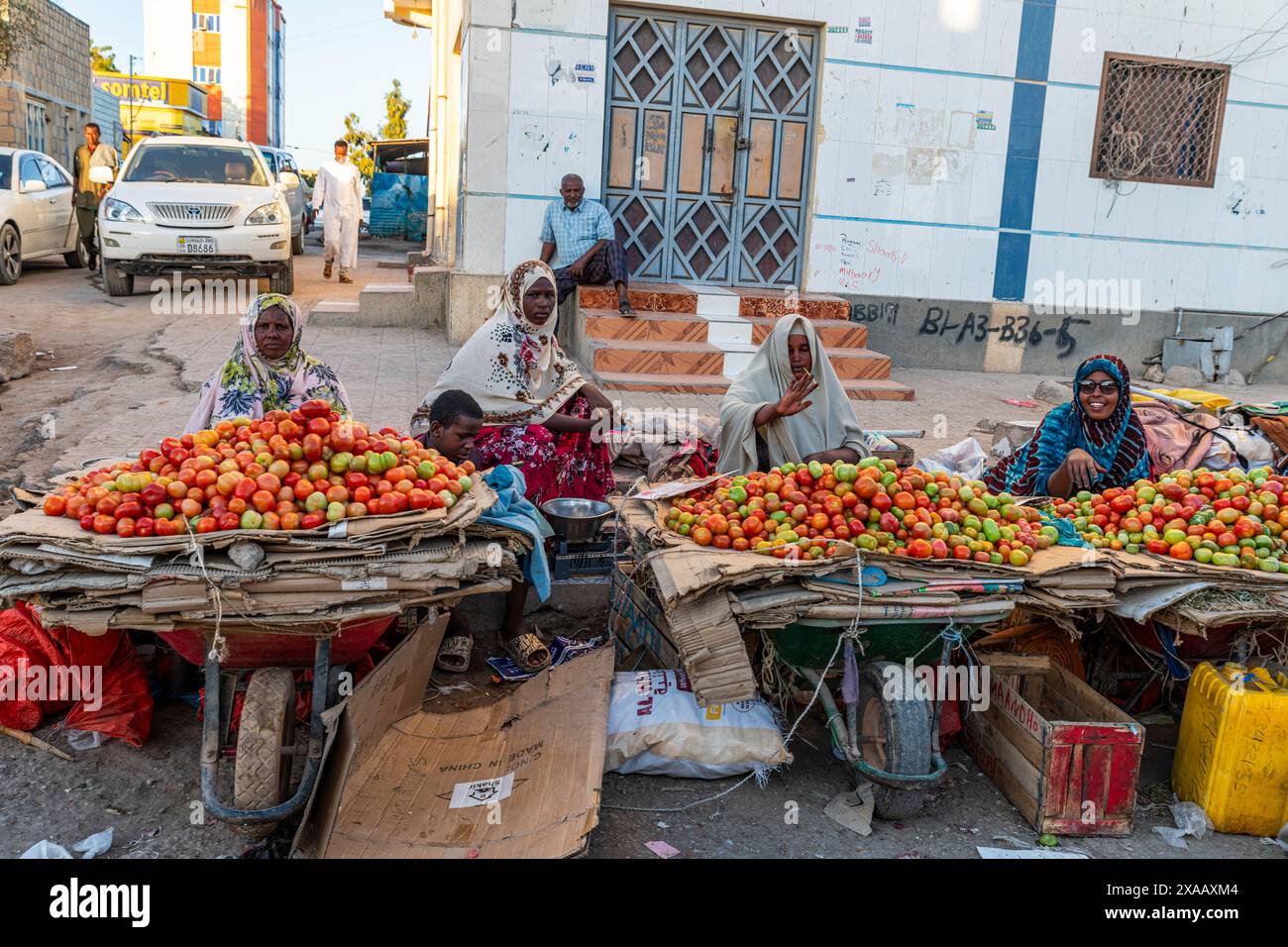 Femme vendant des tomates, Burao, sud-est du Somaliland, Somalie, Afrique Banque D'Images