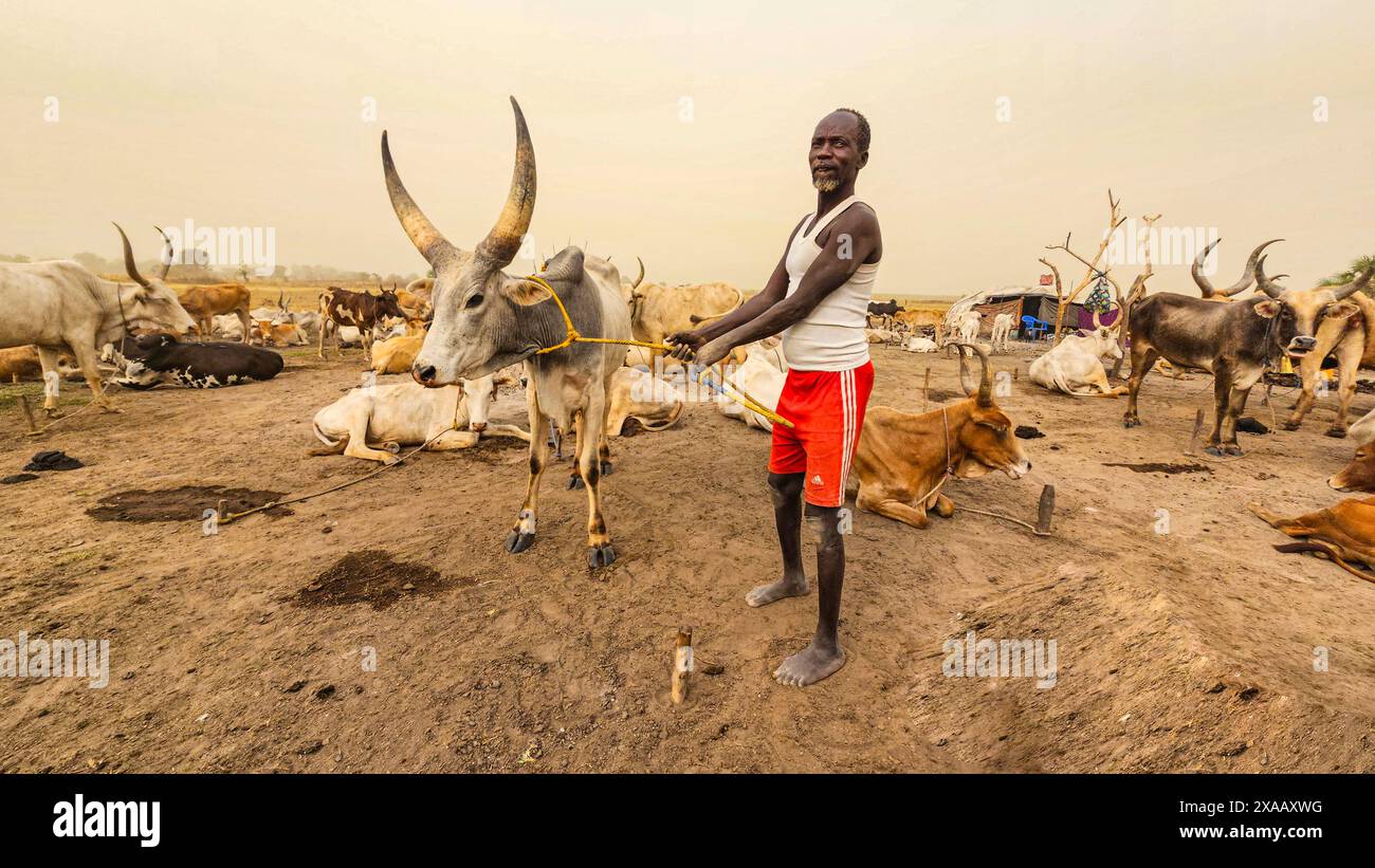 Homme dans le camp de bétail Dinka, Bor, région centrale, Soudan du Sud, Afrique Banque D'Images