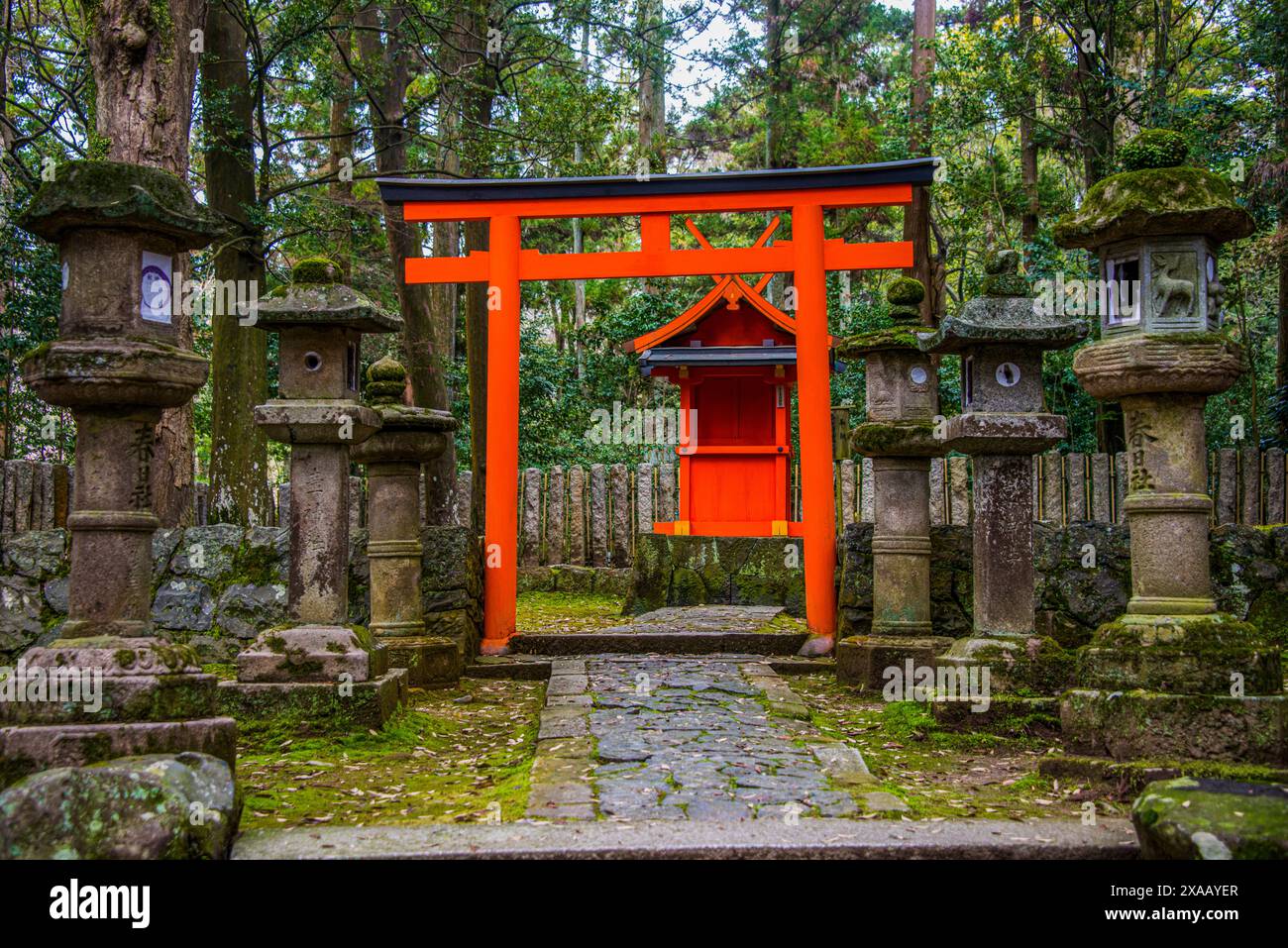 Arc rouge et lanternes en pierre, site du patrimoine mondial de l'UNESCO, Nara, Kansai, Honshu, Japon, Asie Banque D'Images