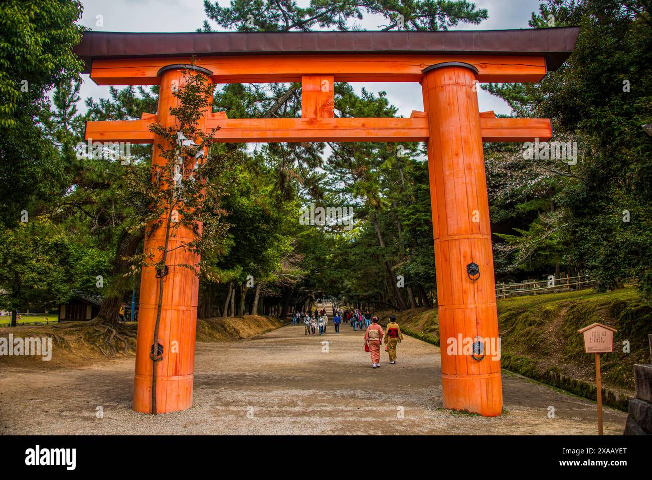 Arc rouge, site du patrimoine mondial de l'UNESCO, Nara, Kansai, Honshu, Japon, Asie Banque D'Images