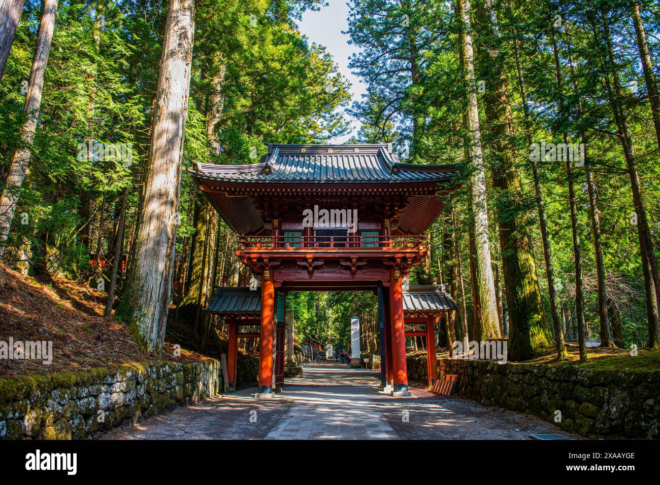 Porte d'entrée du sanctuaire de Futarasan, site du patrimoine mondial de l'UNESCO, Nikko, préfecture de Tochigi, Kanto, Honshu, Japon, Asie Banque D'Images