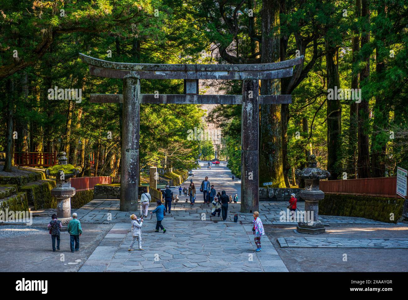 Porte d'entrée du sanctuaire Toshogu, site du patrimoine mondial de l'UNESCO, Nikko, préfecture de Tochigi, Kanto, Honshu, Japon, Asie Banque D'Images