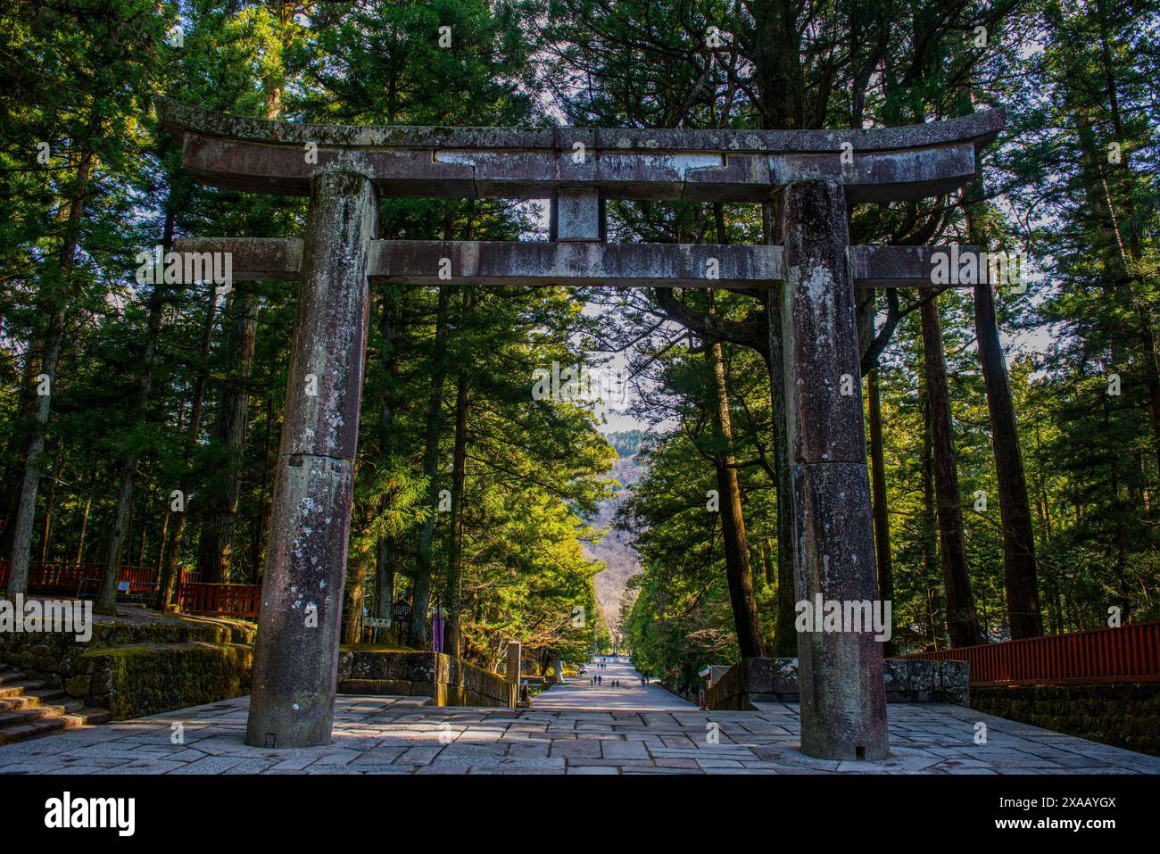 Porte d'entrée du sanctuaire Toshogu, site du patrimoine mondial de l'UNESCO, Nikko, préfecture de Tochigi, Kanto, Honshu, Japon, Asie Banque D'Images