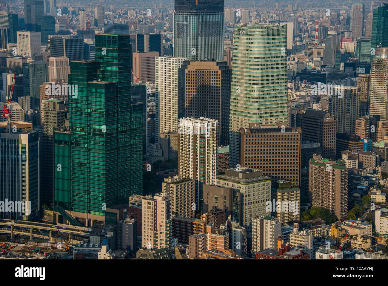 Vue sur Tokyo depuis la tour Mori, Roppongi Hills, Tokyo, Honshu, Japon, Asie Banque D'Images