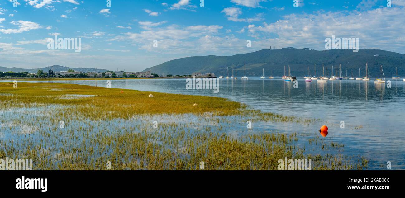 Vue des yachts sur la rivière Knysna avec réserve naturelle de plumes en arrière-plan, Knysna, Garden route, Western Cape, Afrique du Sud, Afrique Banque D'Images
