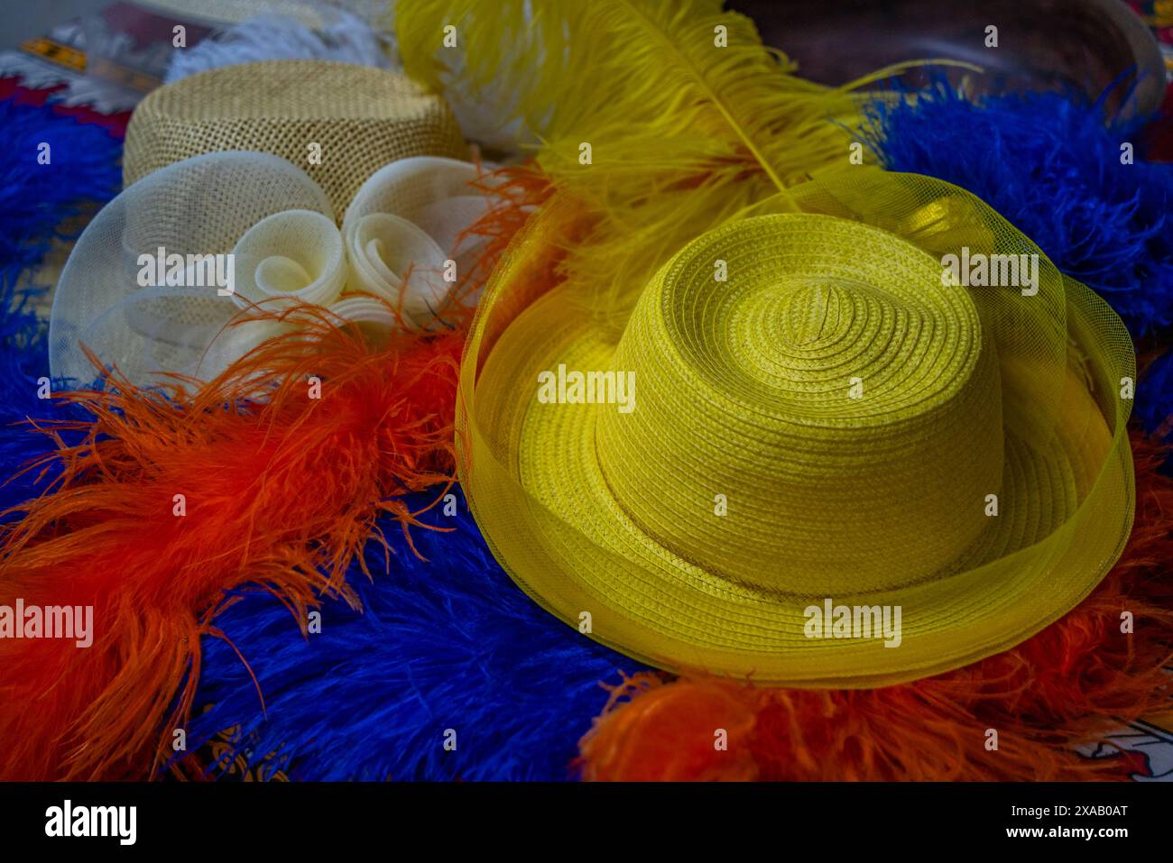 Vue de plumes d'autruche exposées avec un chapeau de paille, à Safari Ostrich Farm, Oudtshoorn, Western Cape, Afrique du Sud, Afrique Banque D'Images