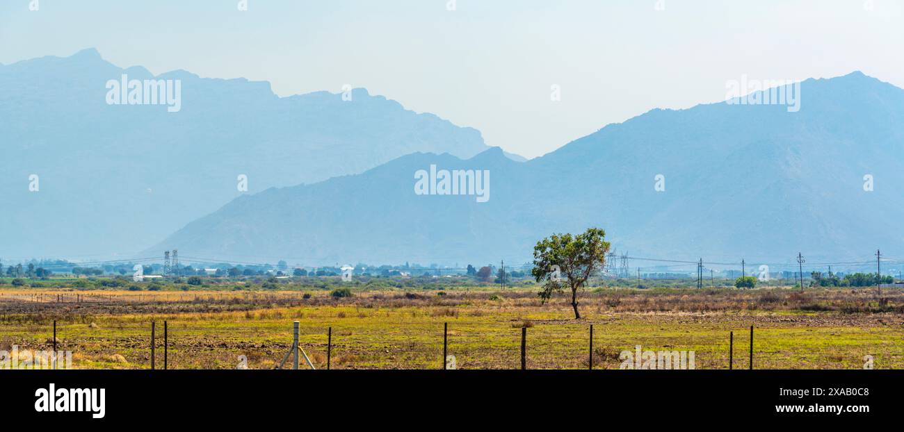 Vue du paysage et des montagnes près de Worcester, Worcester, Western Cape, Afrique du Sud, Afrique Banque D'Images