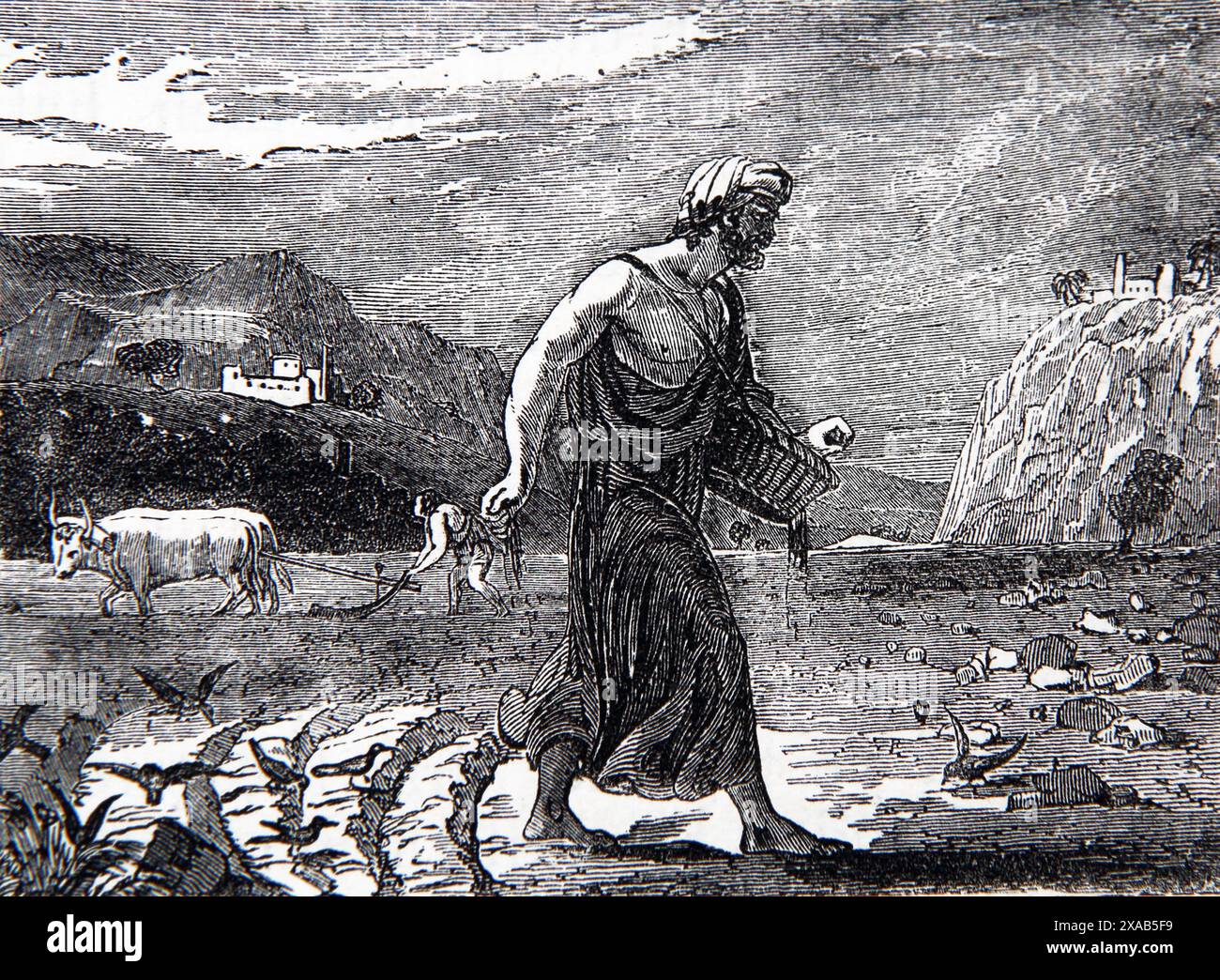 Gravure sur bois des graines de diffusion de semeur (matthieu) Nouveau Testament de l'ancienne Bible familiale illustrée du XIXe siècle Banque D'Images