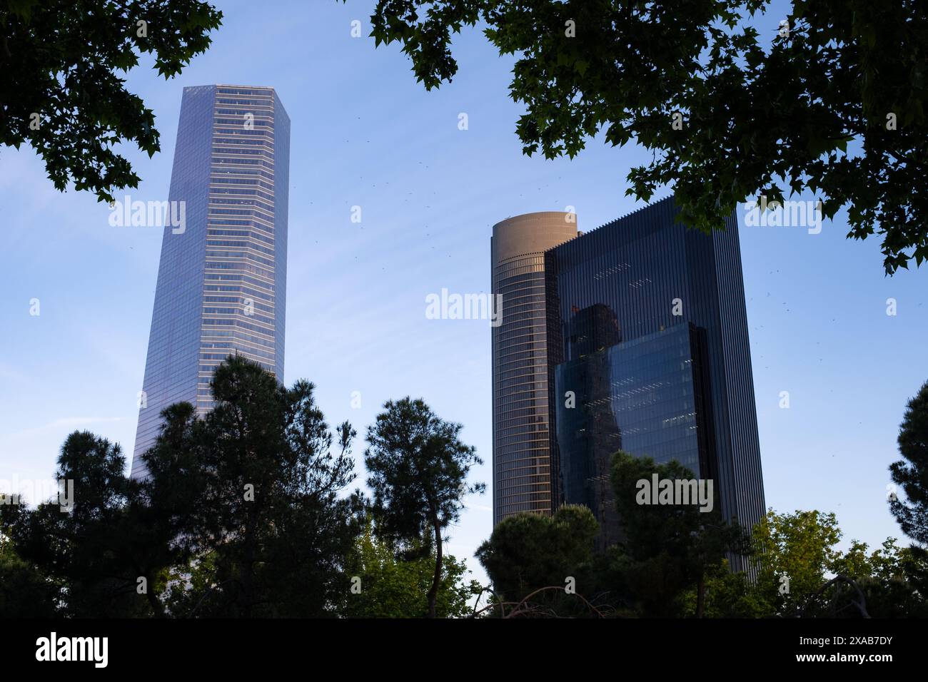 Vue sur un immeuble de bureaux moderne dans le centre financier de Madrid entouré par la nature. concept de croissance durable, de durabilité et de décarbonisation Banque D'Images