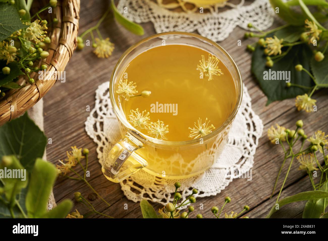 Tisane dans une tasse en verre transparent avec des fleurs de tilleul frais ou de cordata de Tilia récoltées au printemps Banque D'Images