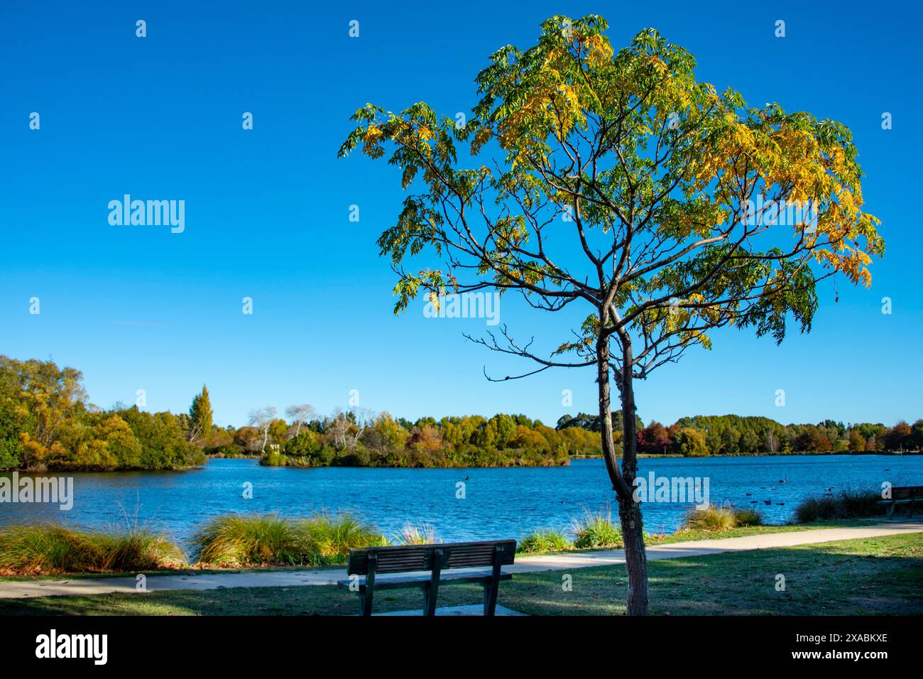 Henley Lake à Masterton - Nouvelle-Zélande Banque D'Images