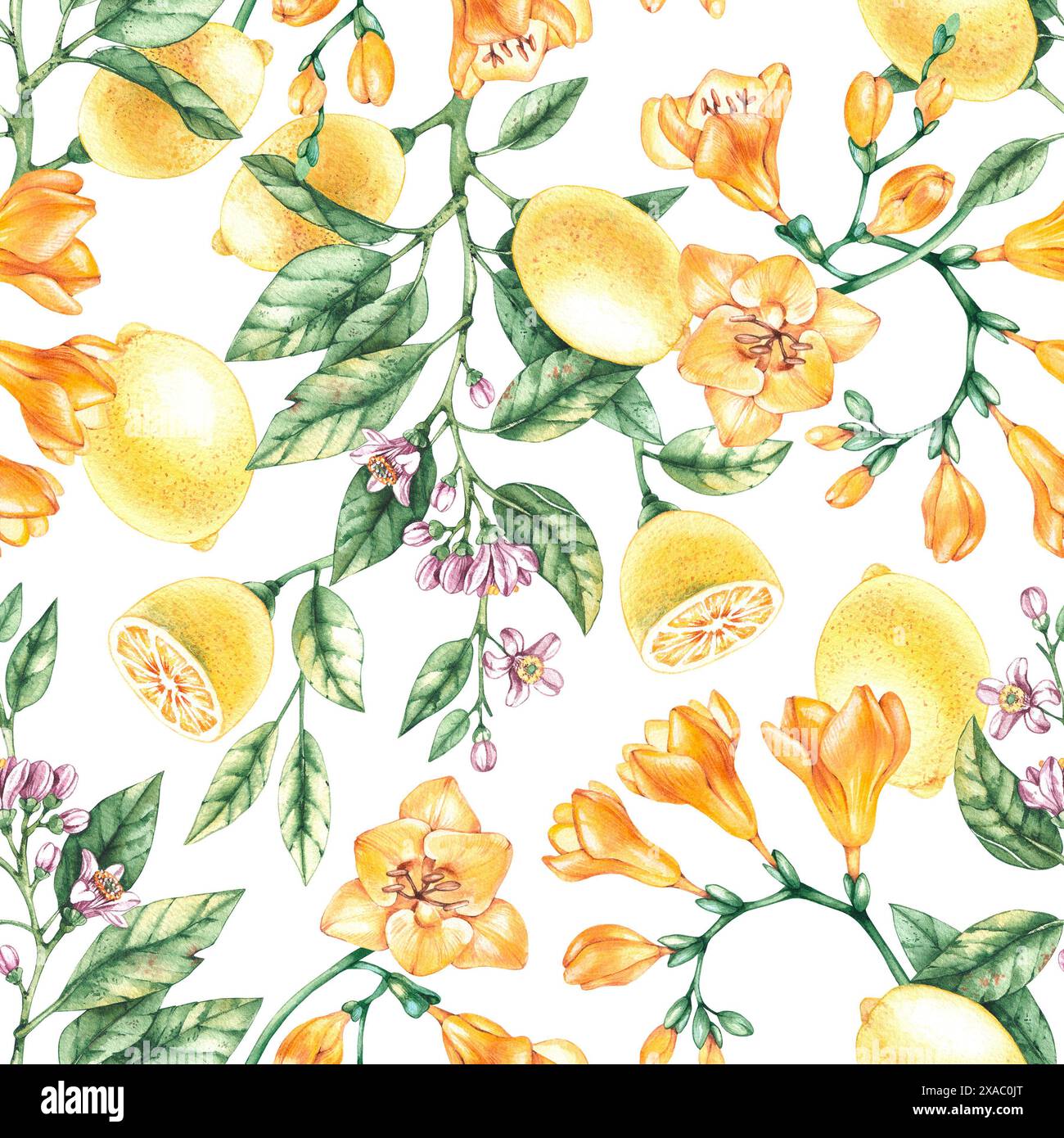 Motif de fleur aquarelle citron freesia. Motif citron. Motif freesia. Motif de floraison pour textiles, tissus, imprimés, vêtements, papier peint Banque D'Images