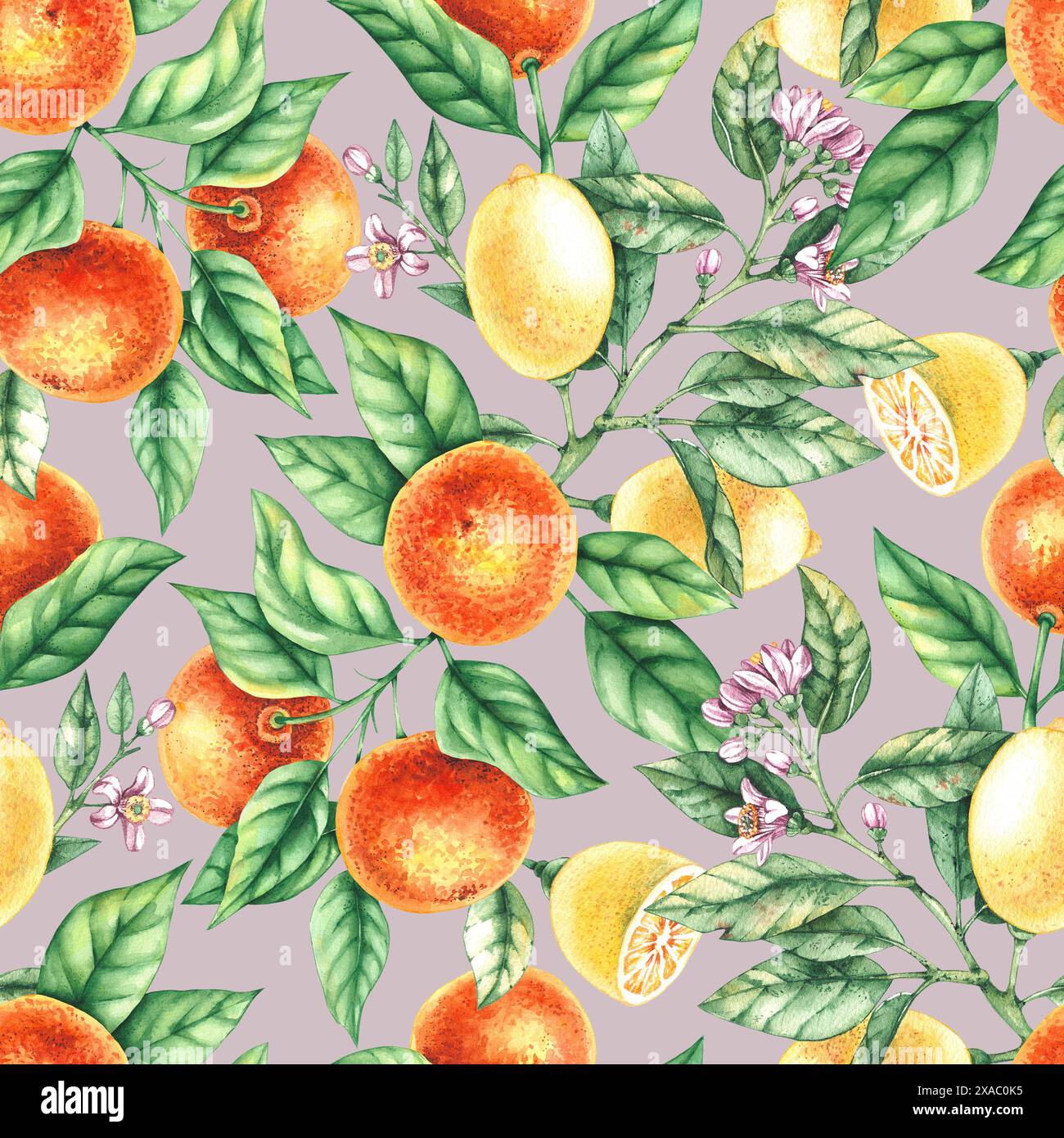 Motif aquarelle de fleurs de mandarine citron. Motif citron. Motif mandarin. Motif de floraison pour textiles, tissus, imprimés, vêtements, papier peint Banque D'Images