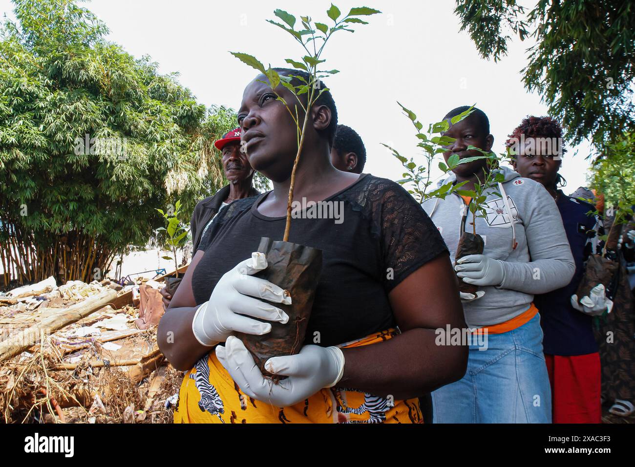 Nairobi, Kenya. 05 juin 2024. Un habitant local du bidonville de Kiamako se prépare à prendre part à la plantation d'un arbre près d'un site de maisons détruites par les inondations le long de la rive de la rivière Mathare lors des célébrations pour marquer la Journée mondiale de l'environnement est célébrée chaque année le 5 juin et encourage la sensibilisation et l'action pour la protection de l'environnement. Le thème de 2024 est la restauration des terres, la désertification et la résilience à la sécheresse. (Photo de Boniface Muthoni/SOPA images/SIPA USA) crédit : SIPA USA/Alamy Live News Banque D'Images