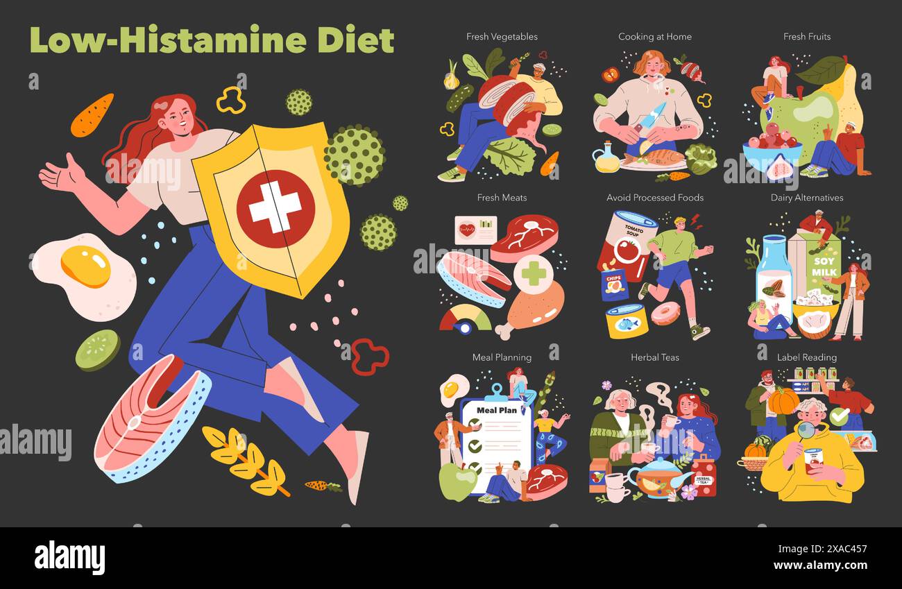 Concept de régime pauvre en histamine. L'illustration décrit les choix alimentaires pour réduire l'apport en histamine. Comprend la planification des repas, les produits frais et les aliments alternatifs. Illustration vectorielle. Illustration de Vecteur