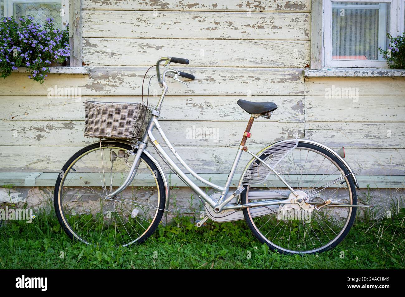 Vieux fond de style vintage de vélo. Vélo vintage contre vieux mur en bois rustique. Banque D'Images