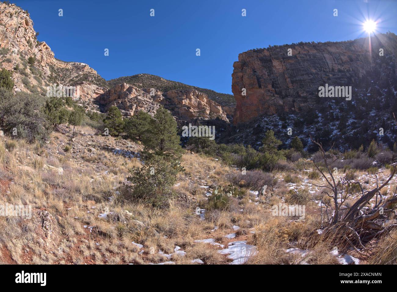 Vue hors sentier de Waldron Canyon au sud-ouest de Hermit Canyon en hiver, accessible via Hermit Trail jusqu'à Waldron Trail Junction, Grand Canyon, Arizon Banque D'Images