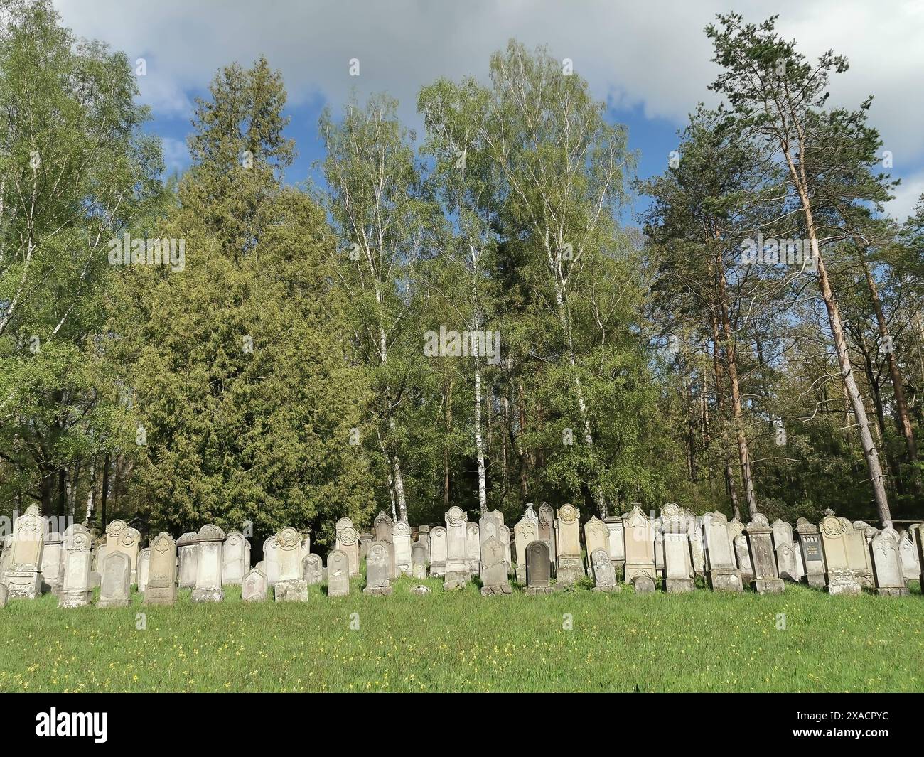 Judenfriedhof, Jüdische Friedhof Burgkunstadt, einer der größten jüdischen Landfriedhöfen in Bayern, Landkreis Lichtenfels, Oberfranken, Deutschland, Banque D'Images