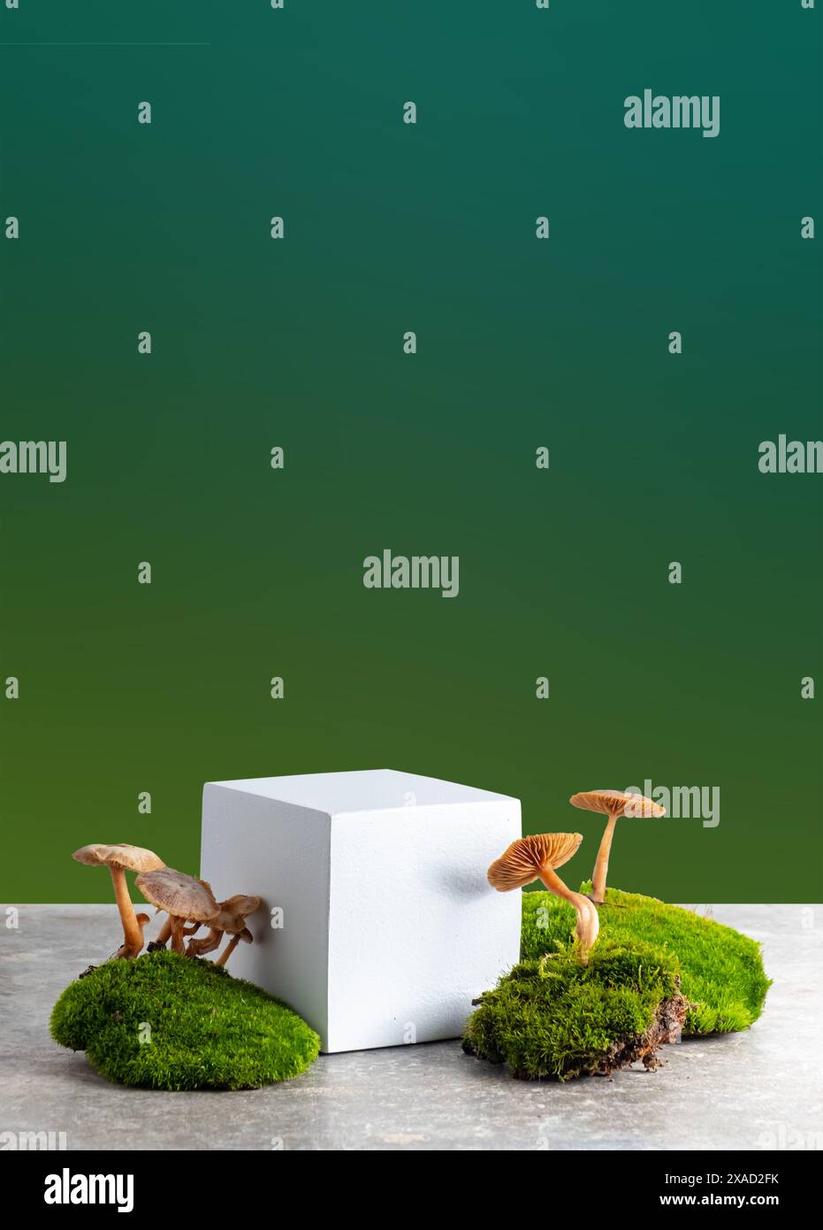 décoration boisée et style naturel. Podium cubique avec mousse verte et champignons. Nature morte pour la présentation des produits. Copier l'espace Banque D'Images