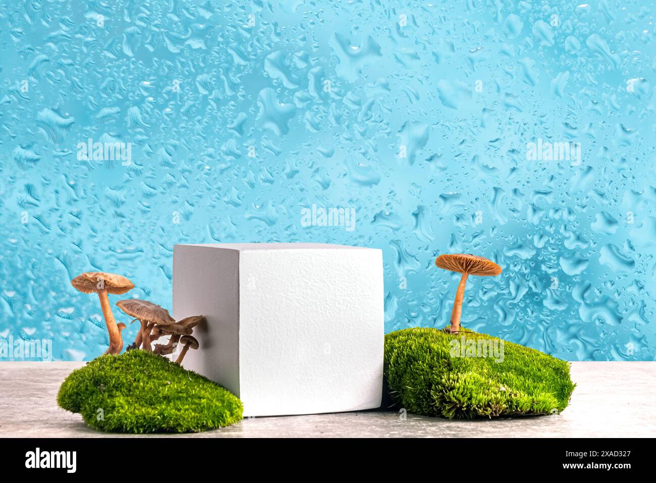 décoration boisée et style naturel. Podium cubique avec mousse verte et champignons sur un fond bleu rosée. Nature morte pour la présentation des produits. Copier spa Banque D'Images