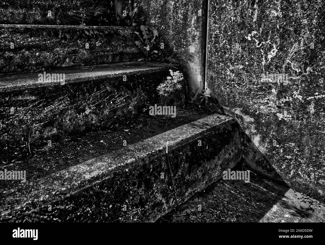 marches d'escalier d'un vieil escalier en béton avec des traces d'altération et très peu de mauvaises herbes, photographie en noir et blanc Banque D'Images
