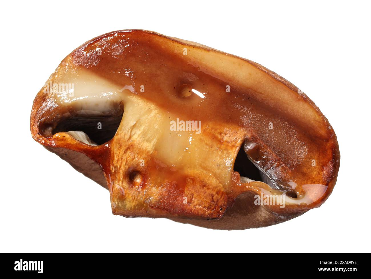 Tranche de champignon grillé isolée sur blanc Banque D'Images