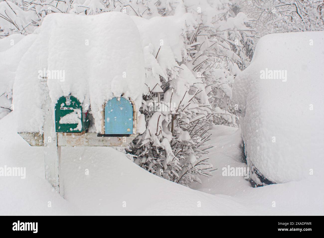 Une boîte aux lettres enneigée près de Washington, DC, pendant la tempête de neige hivernale de 2010. Banque D'Images