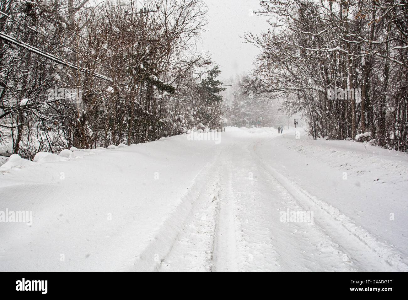 Un MacArthur Boulevard enneigé près de Washington, DC, pendant la tempête de neige hivernale de 2010. Banque D'Images